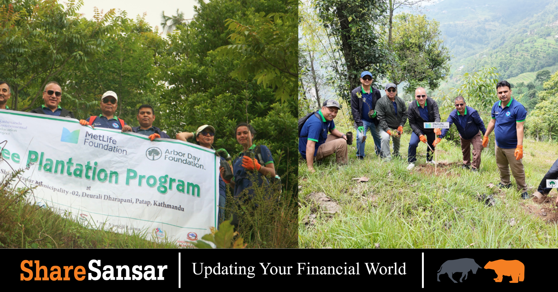 MetLife Nepal Plants 500 Trees in Shankharapur to Mark World ...