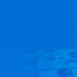 nepal-life-insurance-company-limited