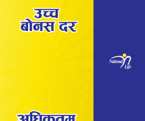 national-life-insurance-company-limited