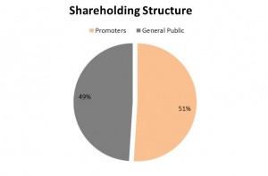 shareholding structure