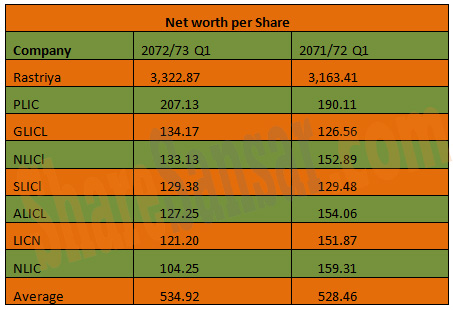 Net Worth Per Share 