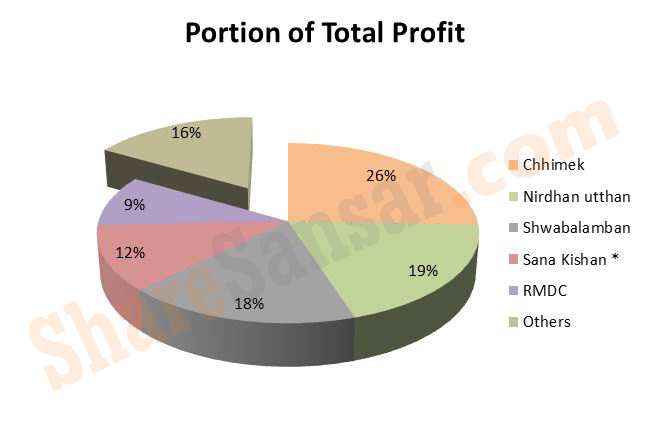 portion of profit