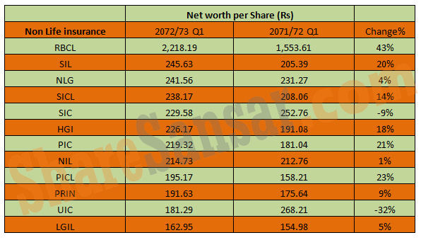 Net Worth per Share