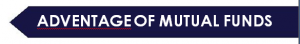 Advantage of Mutual Funds Top