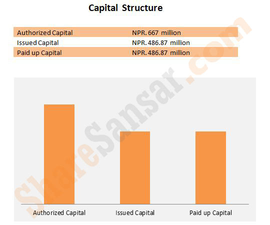 CapitalStructure12