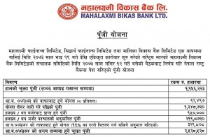 mlbl capital plan